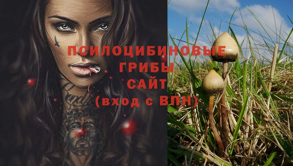 a pvp Баксан
