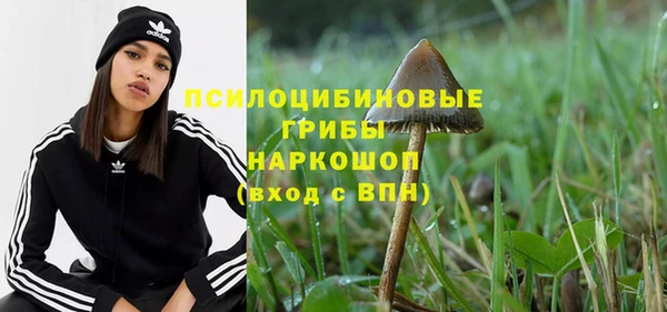 a pvp Баксан