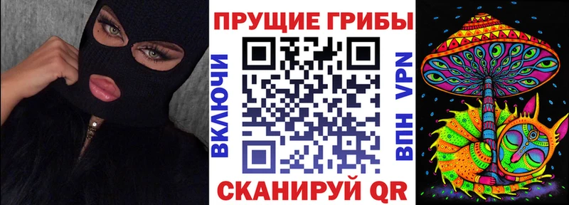 Галлюциногенные грибы прущие грибы Кувандык