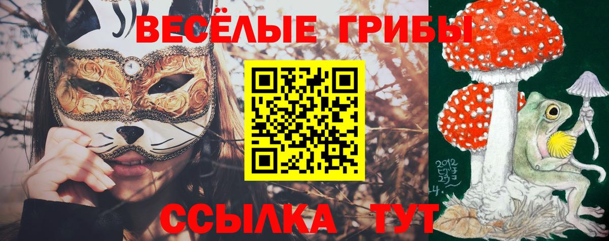 Галлюциногенные грибы Magic Shrooms Кувандык