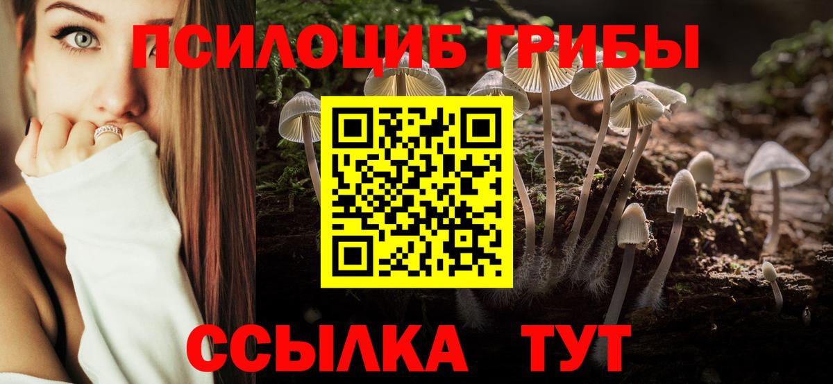 Псилоцибиновые грибы Psilocybine cubensis  Галлюциногенные грибы Psilocybine cubensis  Кувандык  Вход с VPN 