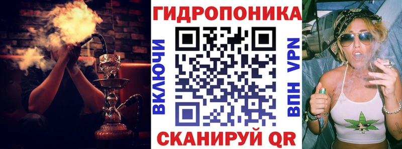 как найти закладки  Кувандык  Шишки марихуана семена 